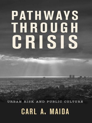 cover image of Pathways through Crisis